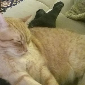 Meet your Posher, Brenda